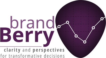 BrandBerry: clarity and perspectives for transformative decisions