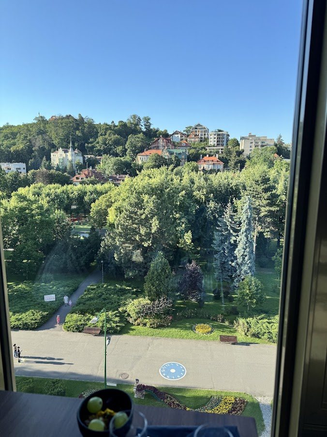 Vedere de la etaj spre un parc din centru și vilele de pe versantul împădurit